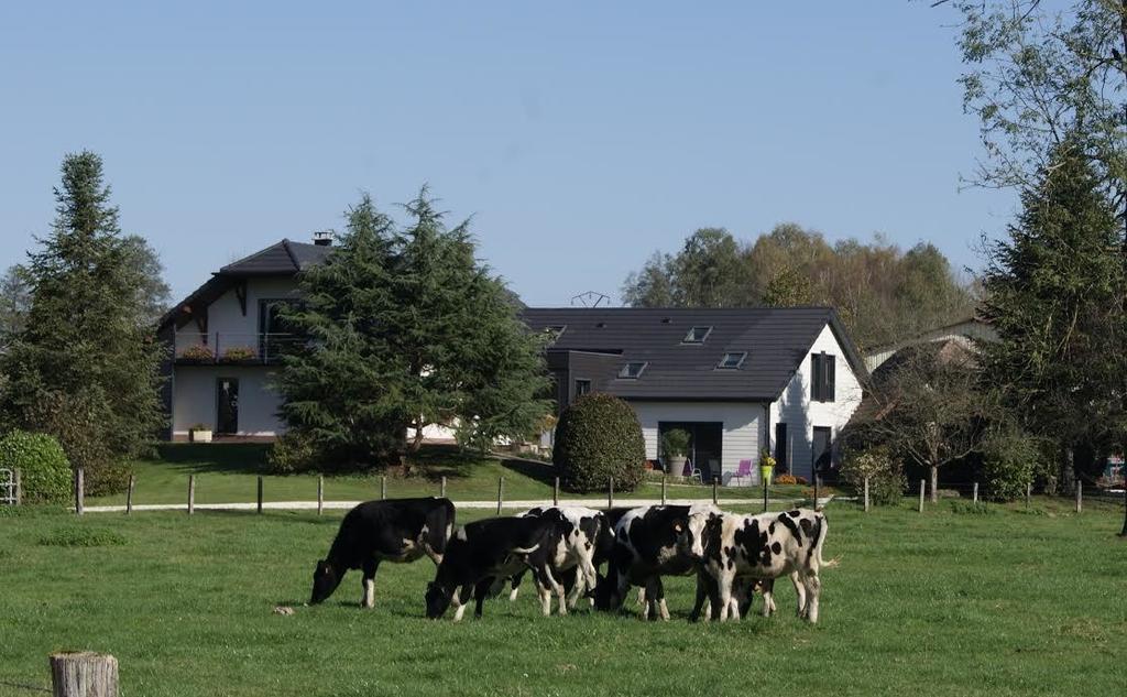 La Noue Aubain Bed & Breakfast Corbenay Exterior photo